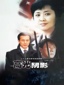 我心永远电视剧海报