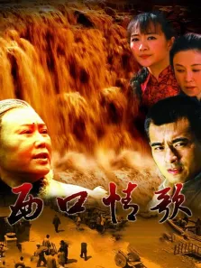 西口情歌电视剧海报