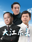 大江东去李小璐版电视剧海报