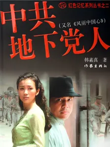 风雨中国心电视剧海报