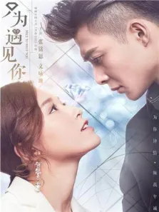 只为遇见你DVD版电视剧海报