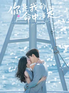 你是我的命中注定电视剧海报