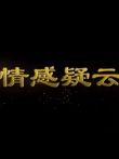 情感疑云电视剧海报