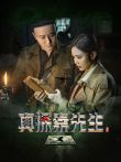 真探秦先生电视剧海报