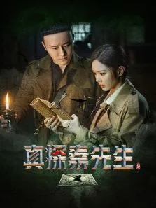 真探秦先生电视剧海报