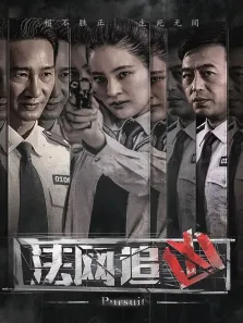 法网追凶电视剧海报