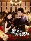 魔女的秘密契约电视剧海报
