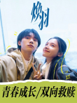 焕羽电视剧海报