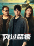 风过留痕电视剧海报