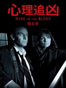 心理追凶第五季电视剧海报
