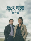 迷失海湾第五季电视剧海报
