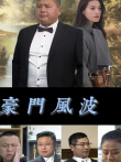 豪门风波电视剧海报