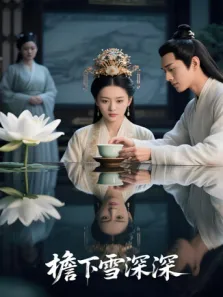 檐下雪深深电视剧海报