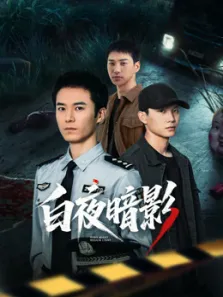 白夜暗影电视剧海报