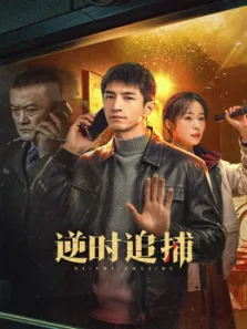 逆时追捕电视剧海报