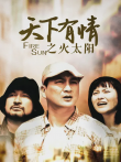 天下有情之火太阳电视剧海报