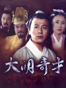 大明奇才电视剧海报
