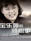 宝乐婶的烦心事TV版电视剧海报