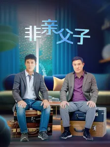 非亲父子电视剧海报