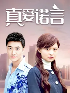 真爱诺言电视剧海报