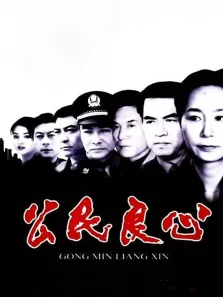 公民良心电视剧海报
