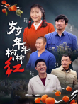 岁岁年年柿柿红电视剧海报