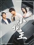 小说王电视剧海报