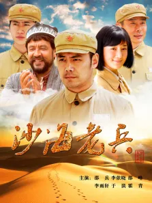 沙海老兵电视剧海报