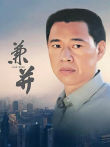 兼并电视剧海报