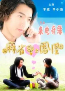 麻雀爱上凤凰电视剧海报