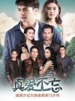 真爱不忘[普通话版]电视剧海报