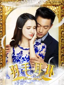 羽毛耳环电视剧海报