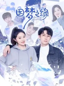 因梦之缘电视剧海报