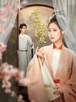 吾家悍妻不可欺电视剧海报