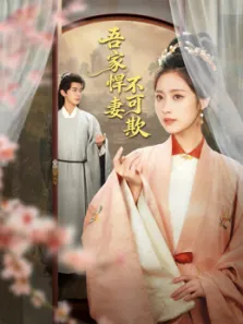 吾家悍妻不可欺电视剧海报