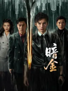 暗金电视剧海报