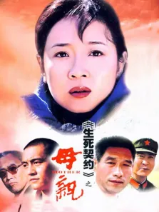 母亲06版电视剧海报