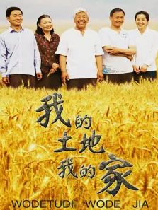 我的土地我的家电视剧海报