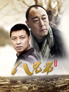 八兄弟电视剧海报