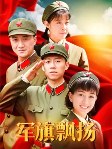 军旗飘扬电视剧海报