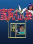 家有仙妻电视剧海报