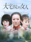 大宅院的女人电视剧海报