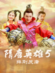 隋唐英雄第5部电视剧海报