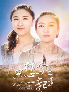 只想今生一起走电视剧海报