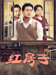 红房子电视剧海报