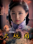 大观园电视剧海报
