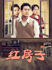 红房子电视剧海报
