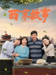西京故事电视剧海报