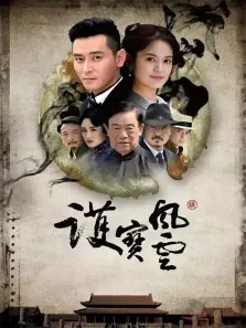 护宝风云电视剧海报