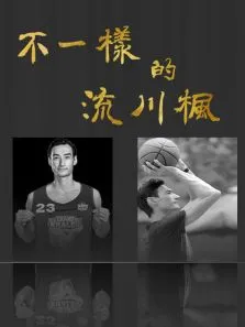 不一样的流川枫电视剧海报